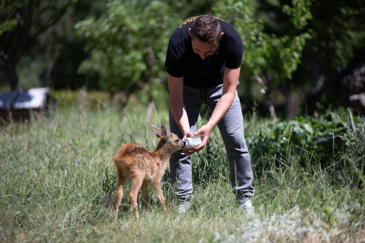 Appartamento House Of Velebit Adria Senj  Esterno foto